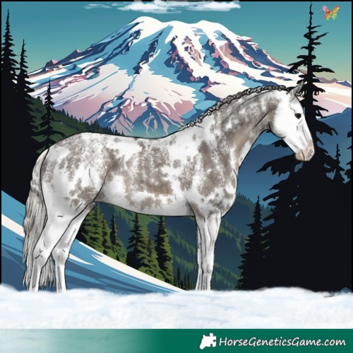 Horse Color:Powder White White Spotted Silver Smoky Grullo Splash 
