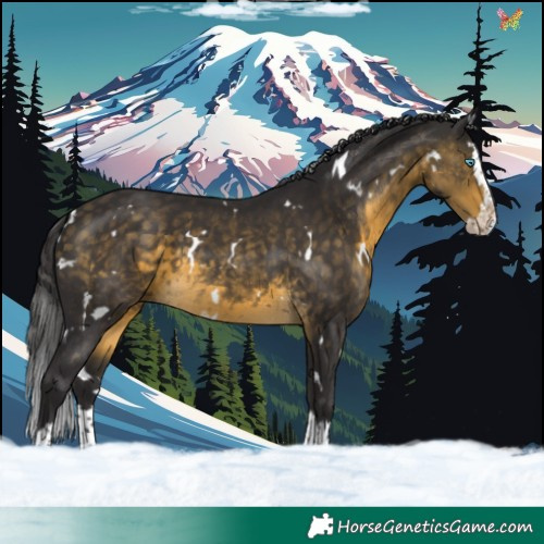 Horse Color:White Spotted Buckskin Splash