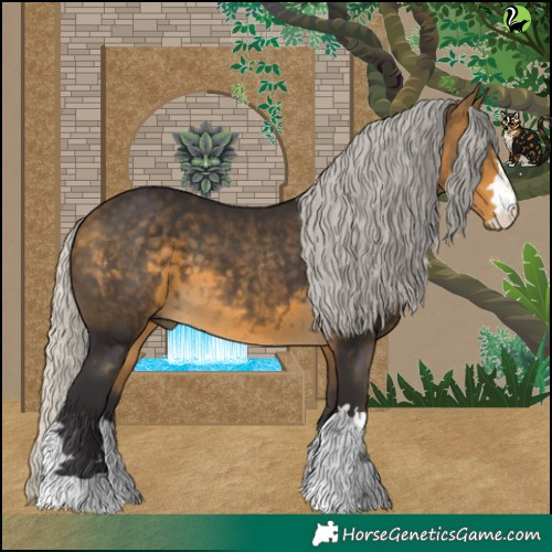 Horse Color:Silver Buckskin