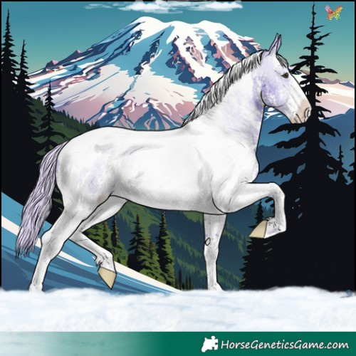 Horse Color:Watercolor Silver Brown Sabino Tobiano 