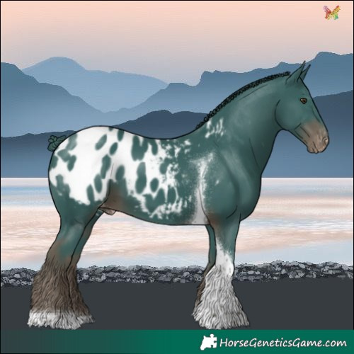 Horse Color:Watercolor Liver Chestnut Tobiano Blanket 