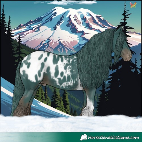 Horse Color:Watercolor Liver Chestnut Tobiano Appaloosa 