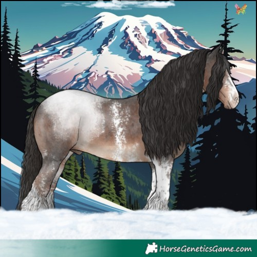Horse Color:Liver Chestnut Sabino Tobiano