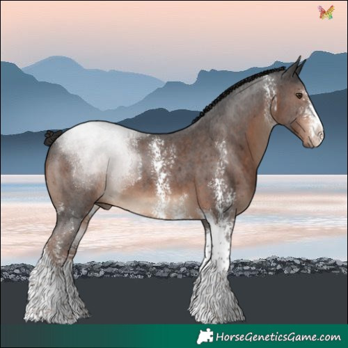 Horse Color:Liver Chestnut Sabino Tobiano 
