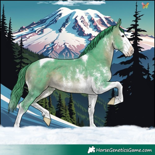 Horse Color:Watercolor Brown Sabino Splash Tobiano Appaloosa 