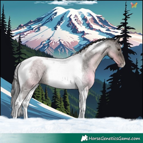 Horse Color:Smoky Grullo Roan Tobiano