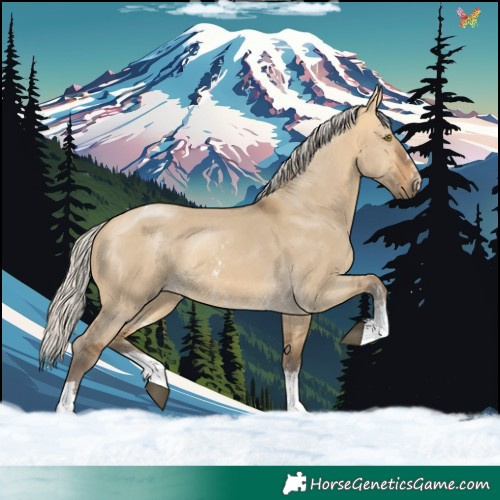 Horse Color:Silver Buckskin Dun Sabino Tobiano