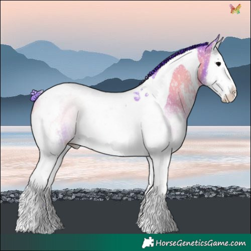 Horse Color:Watercolor Blue Onyx Sabino Splash Tobiano 