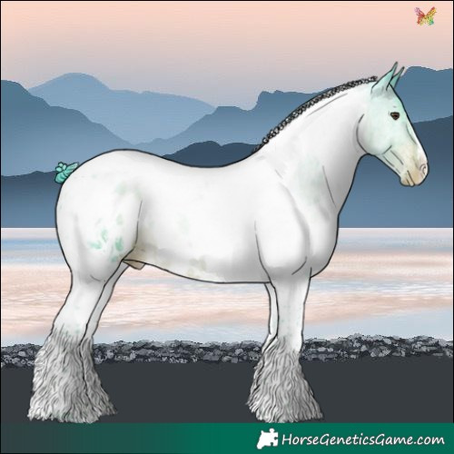Horse Color:Watercolor White Spotted Liver Chestnut Tobiano Near Leopard 