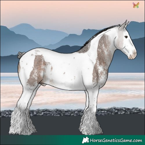 Horse Color:Liver Chestnut Sabino Splash Tobiano