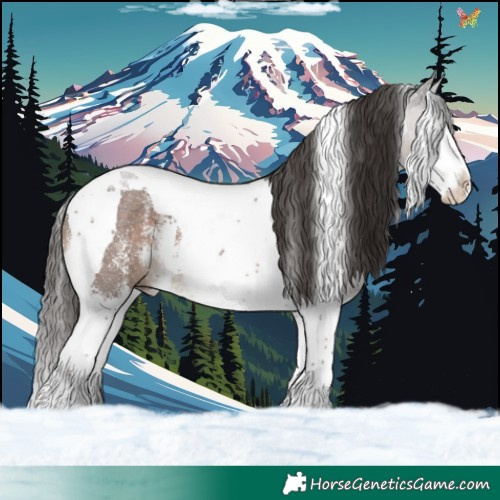 Horse Color:Liver Chestnut Sabino Splash Tobiano