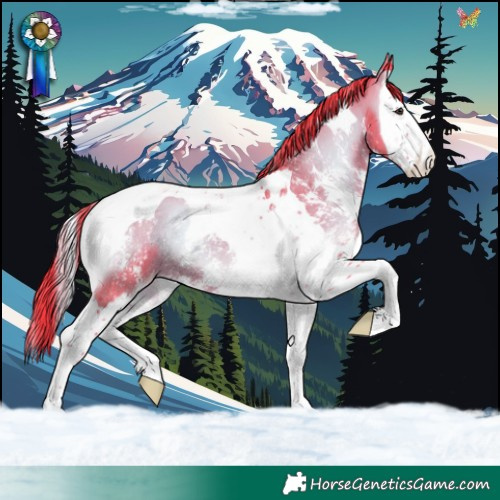 Horse Color:Watercolor Liver Red Onyx Sabino Splash Tobiano Appaloosa 