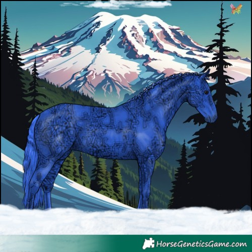 Horse Color:Watercolor Black Ice 