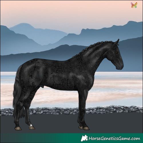 Horse Color:Black Ice 