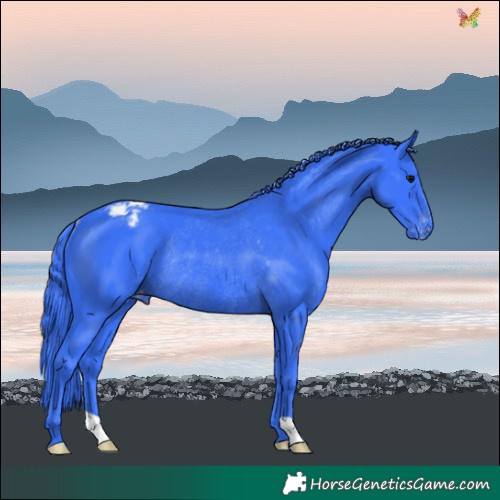 Horse Color:Watercolor Black Varnish Rabicano 