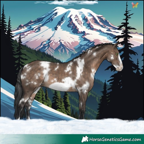 Horse Color:White Spotted Brown Dun Frame 