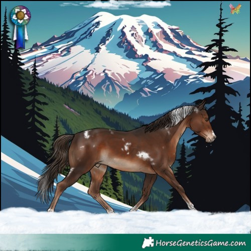 Horse Color:White Spotted Liver Chestnut Tobiano Frame