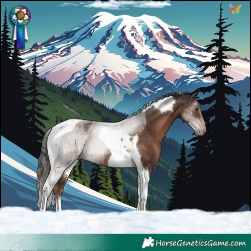Horse Color:Liver Chestnut Tobiano 