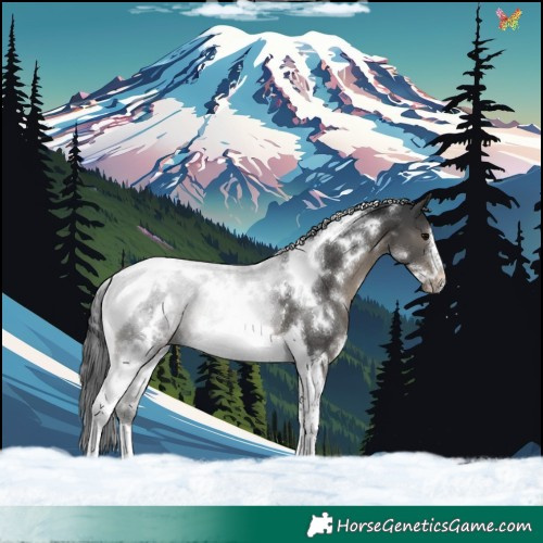 Horse Color:White Spotted Black Tobiano Frame