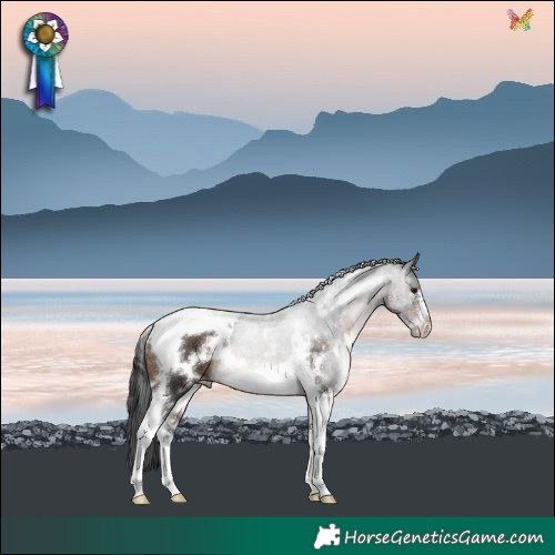 Horse Color:White Spotted Brown Tobiano Frame 
