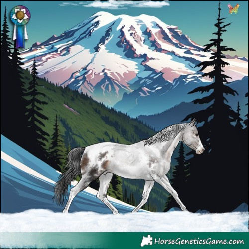Horse Color:White Spotted Brown Tobiano Frame
