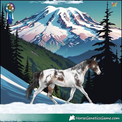 Horse Color:White Spotted Brown Tobiano Frame