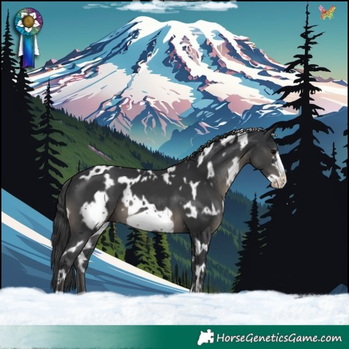 Horse Color:White Spotted Black Frame 