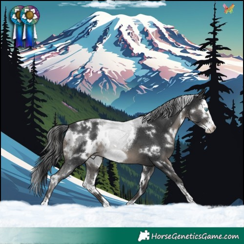 Horse Color:White Spotted Black Frame 