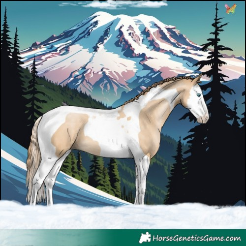 Horse Color:Smoky Black Pearl Splash Tobiano 