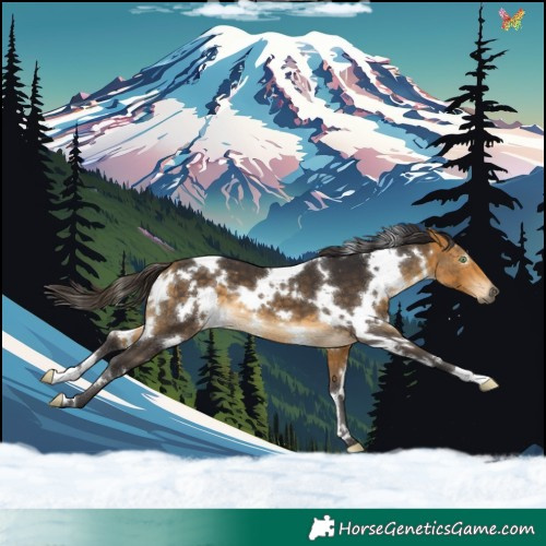 Horse Color:White Spotted Buckskin