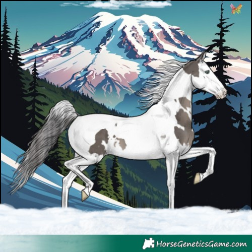 Horse Color:White Spotted Smoky Grullo Mushroom Splash Tobiano 