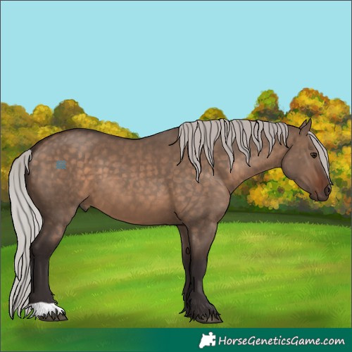 Horse Color:Silver Brown Dun