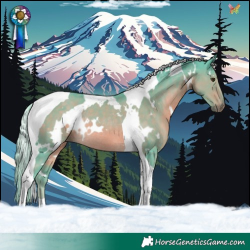 Horse Color:Watercolor White Spotted Chocolate Palomino Tobiano Rabicano 