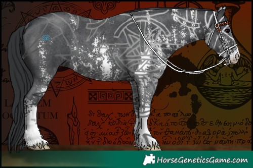 Horse Color:Black Sabino
