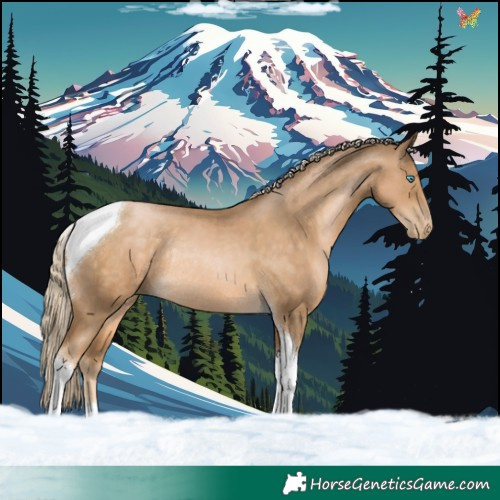 Horse Color:Chocolate Palomino Pearl Tobiano Rabicano
