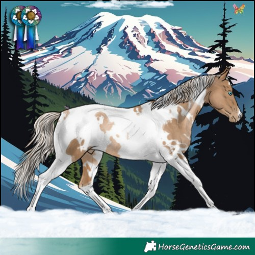Horse Color:White Spotted Chocolate Palomino Pearl Tobiano Rabicano 