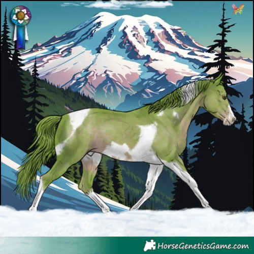 Horse Color:Watercolor Liver Chestnut Tobiano Frame