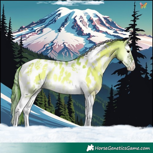Horse Color:Watercolor White Spotted Grullo Onyx Splash Tobiano Appaloosa Rabicano