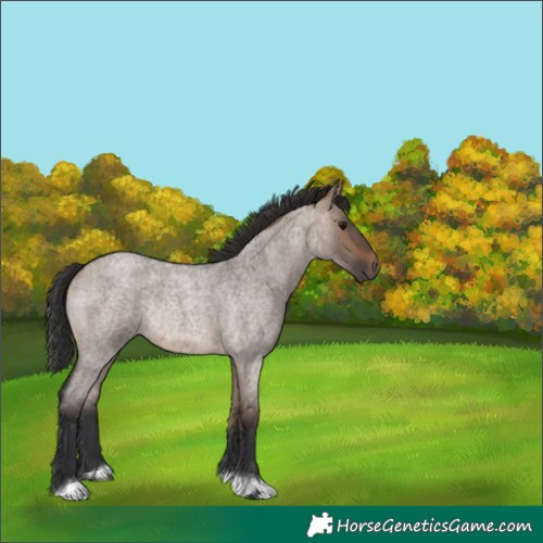 Horse Color:Brown Roan Dun Rabicano 
