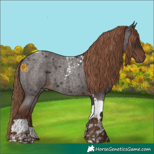 Horse Color:Liver Red Roan Tobiano 