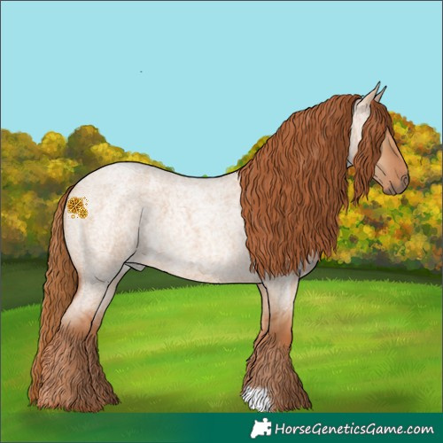Horse Color:Red Dun Roan 