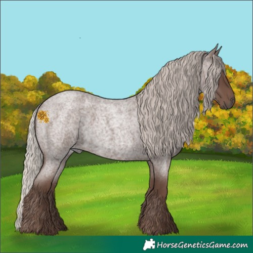 Horse Color:Silver Blue Roan