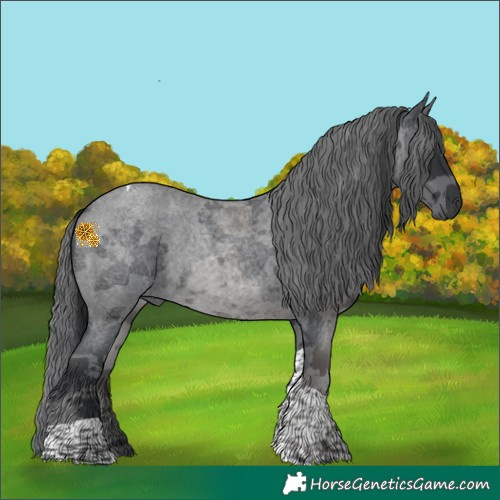 Horse Color:Blue Roan Merle Tobiano
