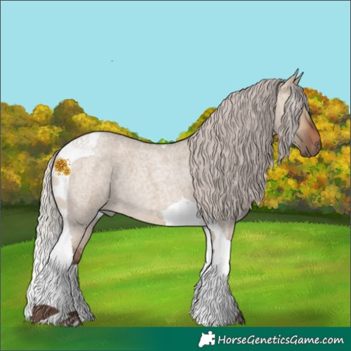 Horse Color:Silver Brown Roan Dun Tobiano 