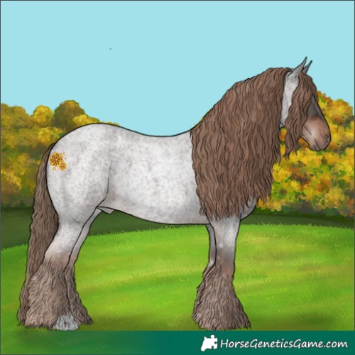 Horse Color:Liver Red Roan 