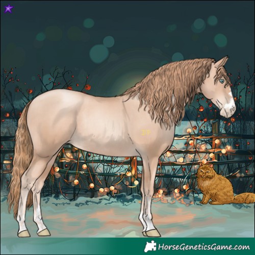 Horse Color:Gold Champagne Pearl Rabicano  and Gold Champagne Pearl Rabicano 