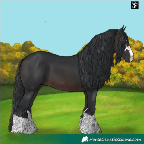 Horse Color:Brown 