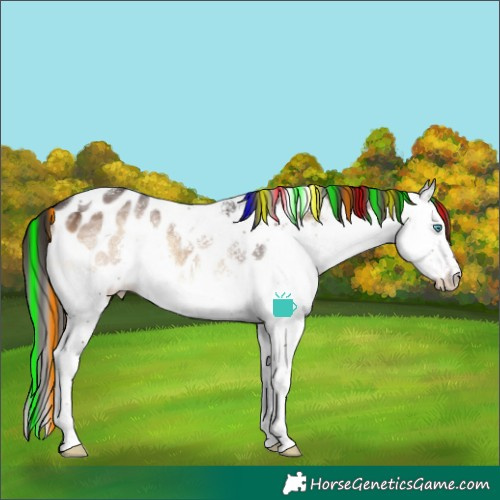 Horse Color:Painted White Spotted Liver Red Onyx Ice Splash Tobiano Near Leopard Brindle 
