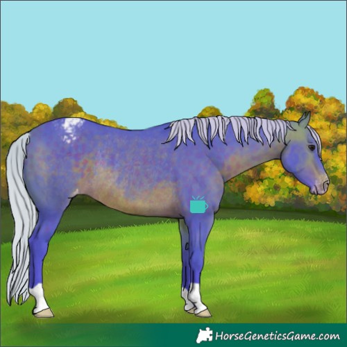 Horse Color:Watercolor Silver Brown Appaloosa Rabicano