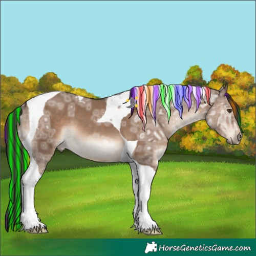 Horse Color:Painted Liver Red Dun Ice Tobiano